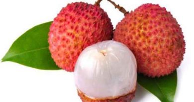 লিচুর গুনাগুণ লিচুর গুনাগুণ