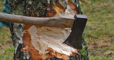 দুদিনে লোপাট ৫০০০ গাছ, আদানিদের কাণ্ডে নিশ্চুপ বিজেপি সরকার, প্রতিবাদীদেরই জেলে পুরল পুলিশ